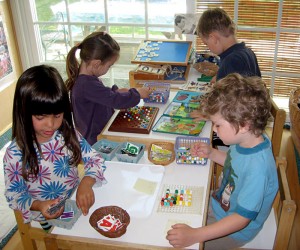 Individual Work